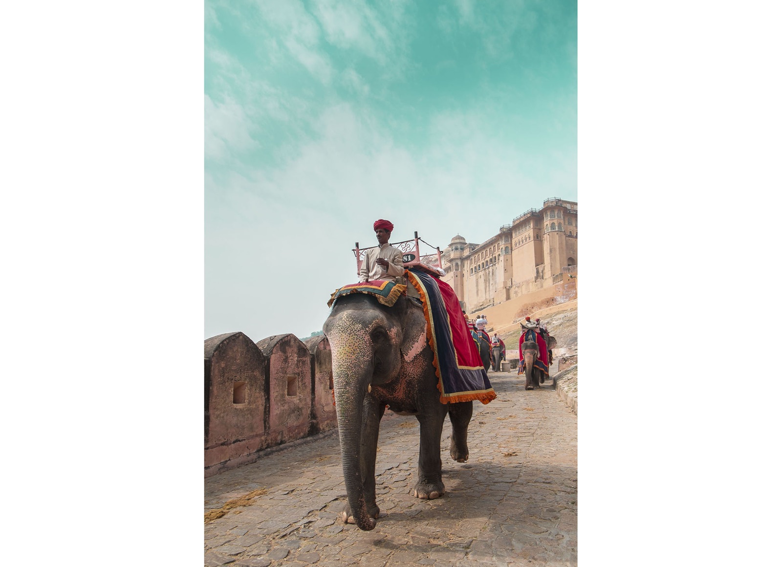 Indien, Elefantenszene